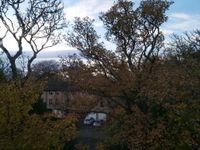 Thumbnail of Mansionhouse Gardens, Glasgow, G41 image 9