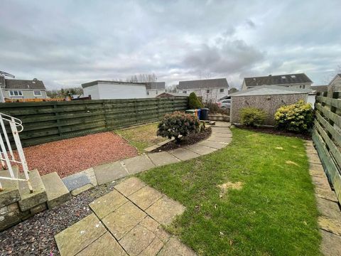 Catter Gardens, Glasgow, G62 image 13